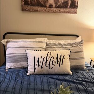 Striped Blue and White Pillow Set